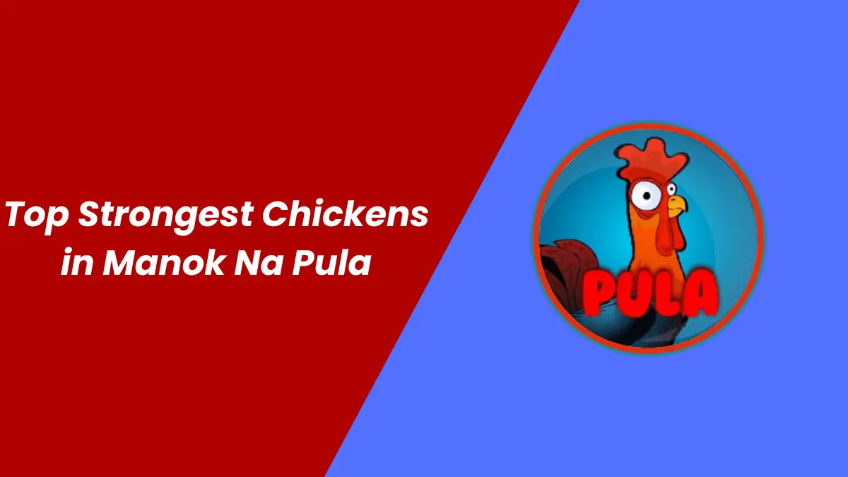 Illustration showing strongest chicken characters in gameplay